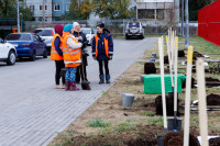 Администрация Тулы вместе с депутатами высадили клёны во дворе дома для военнослужащих в Туле, Фото: 3