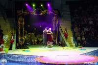 Цирк на воде «Остров сокровищ» в Туле: Здесь невозможное становится возможным, Фото: 46