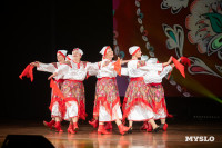 Как в Туле отпраздновали День пожилого человека , Фото: 20