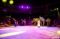 Цирк Инди Ра, Фото: 73