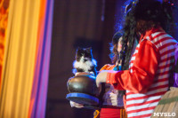 Театр кошек в ГКЗ, Фото: 52