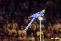 Шоу воды, огня и света, Фото: 111