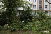 Цветник на проспекте Ленина, 147, Фото: 30