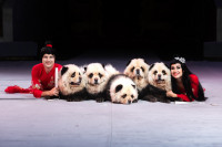 Успейте посмотреть шоу «Новогодние приключения домовенка Кузи» в Тульском цирке, Фото: 24