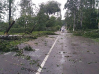 Комсомольский парк после шторма, Фото: 16
