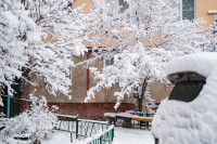 Снегопад в Туле 11 января, Фото: 53