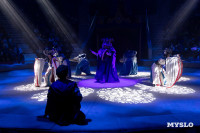 Цирковое шоу Жар птица, Фото: 108