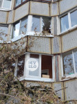 В Туле упавшее на девятиэтажку дерево повредило несколько балконов, Фото: 1