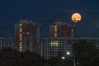 Осетровая Луна 2025, Фото: 16