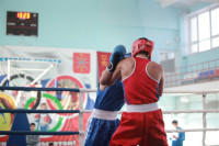 Первенство Тульской области по боксу, Фото: 33