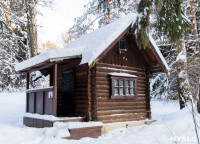 Снежное Поленово, Фото: 27