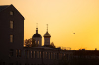 Цветочное настроение в Туле, Фото: 4