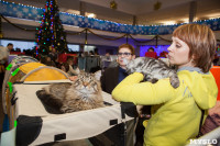 В Туле прошла выставка «Пряничные кошки» , Фото: 66