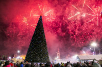 Открытие новогодней ёлки на площади Ленина, Фото: 50