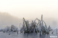 Ледяное утро в Центральном парке, Фото: 11