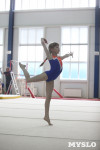 Соревнования по спортивной гимнастике на призы Заслуженных мастеров спорта , Фото: 58
