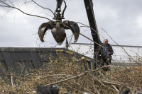 Миляев субботник , Фото: 10