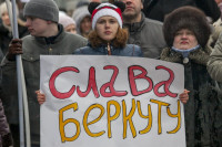 В Туле проходит митинг в поддержку Крыма, Фото: 14