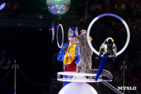 Шоу воды, огня и света, Фото: 109