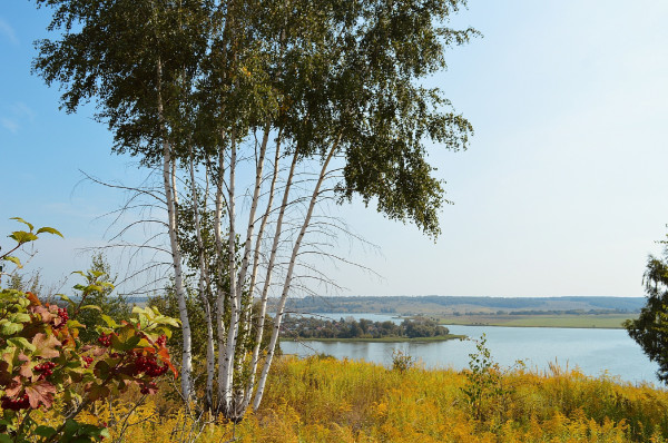 город Советск