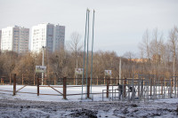 Центральный парк культуры и отдыха им. Белоусова. Декабрь 2013, Фото: 31