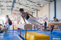 Мужская спортивная гимнастика в Туле, Фото: 28