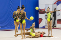 В Туле стартовало первенство Центрального федерального округа по художественной гимнастике, Фото: 99