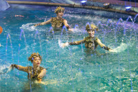 В Тулу приехал цирковой мюзикл на воде «Одиссея», Фото: 23