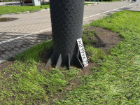 Туляки обнаружили десятки потерянных автономеров на улице Фрунзе, Фото: 1