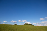 Тишина, солнце и бесконечный простор: 90 красивых фото с родины слонов – Одоевского района, Фото: 43
