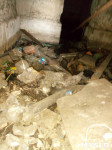 Горы мусора, грибок и аварийные балконы: под Ясногорском рушится многоквартирый дом, Фото: 44