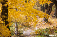 Золотая осень в Ясной Поляне, Фото: 84