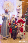 В Туле открылась резиденция Деда Мороза, Фото: 63