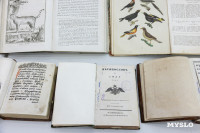 В Туле прошло заседание регионального отделения Всемирного Русского Народного Собора, Фото: 26