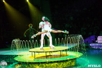 Цирк на воде «Остров сокровищ» в Туле: Здесь невозможное становится возможным, Фото: 39