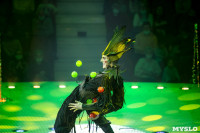 Шоу фонтанов «13 месяцев» в Тульском цирке – подарите себе и близким путевку в сказку!, Фото: 56