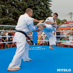 Турнир по боксу в Алексине, Фото: 23