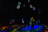 "Чудеса под Новый год" в Тульском цирке, Фото: 19