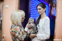 В Туле прошла выставка «Пряничные кошки» , Фото: 87