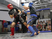 В Новомосковске прошел Чемпионат и Первенство Тульской области по ММА, Фото: 212