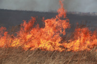 Возгорание сухой травы напротив ТЦ "Метро", 7.04.2014, Фото: 29