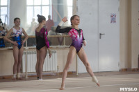 Первенство ЦФО по спортивной гимнастике среди  юниоров, Фото: 36