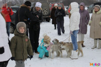 Куликово поле. Гонки на собачьих упряжках., Фото: 102