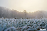 Ледяное утро в Центральном парке, Фото: 14