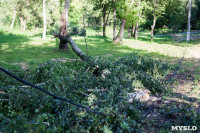 В Баташевском саду из-за непогоды упали вековые деревья, Фото: 16