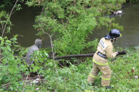 МЧС расчищает русло реки в с.Дедилово, Фото: 5