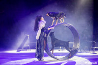 Премьера новогоднего шоу в Тульском цирке, Фото: 84