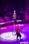 Премьера новогоднего шоу в Тульском цирке, Фото: 29