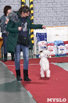 Выставка собак в Туле 26.01, Фото: 11