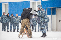 "Студенческий десант" - 2017., Фото: 22